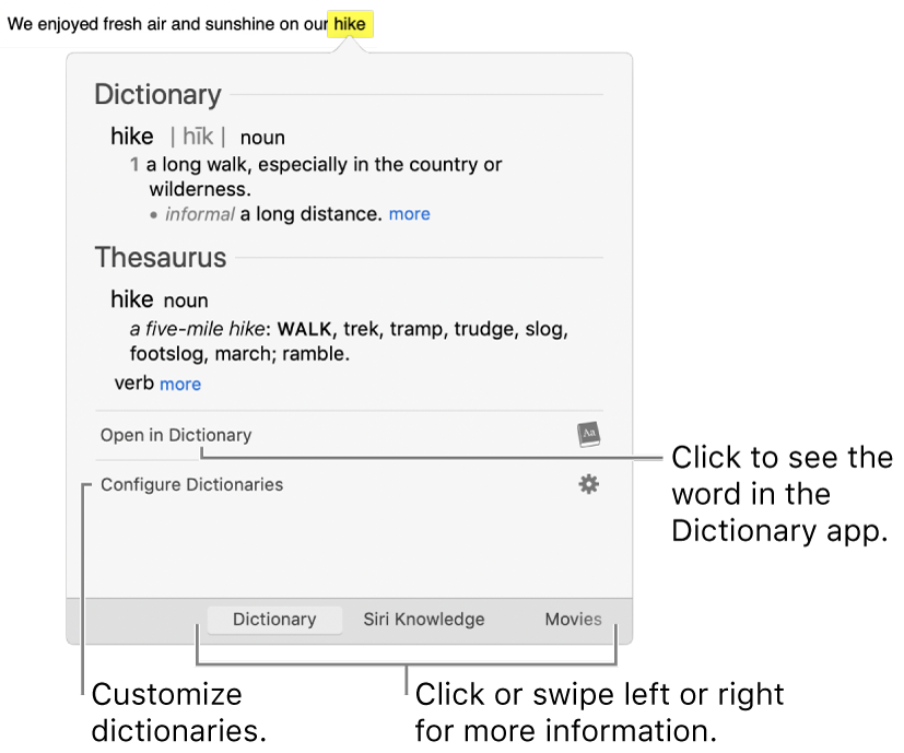 The Look Up window showing Dictionary and Thesaurus definitions for a word.