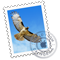 Mail icon