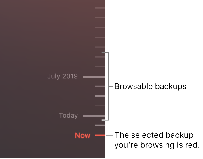 Tick marks in the backup timeline. The red tick mark indicates the backup you’re browsing.