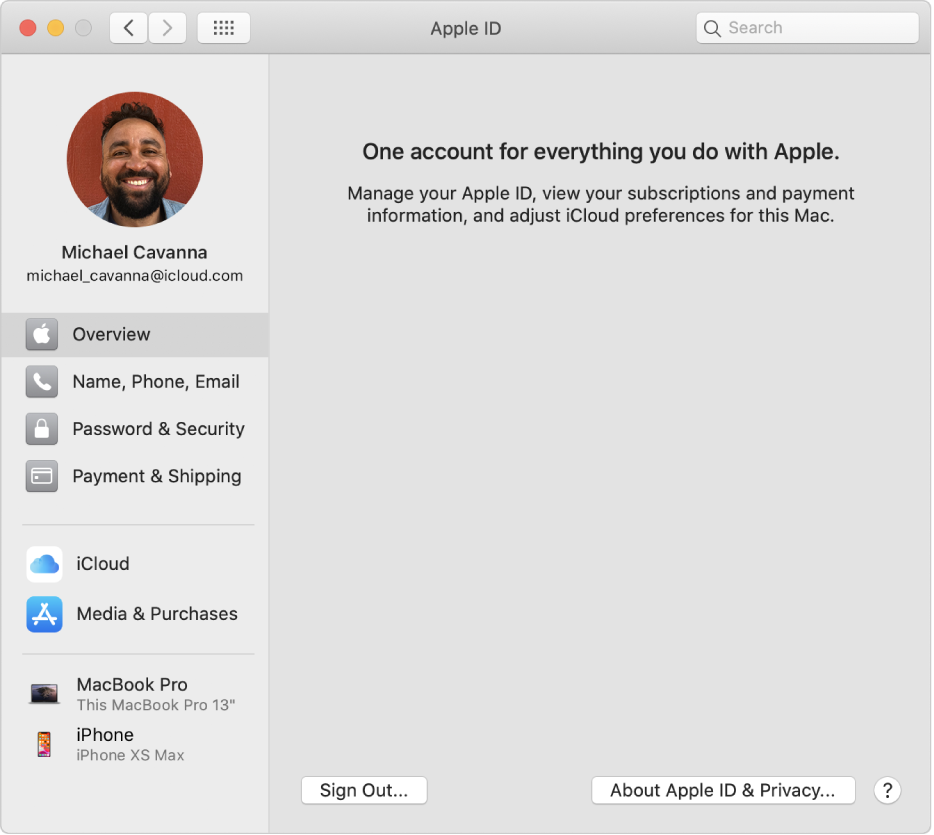 Apple ID preferences showing a sidebar of different types of account options you can use and the Overview preferences for an existing account.