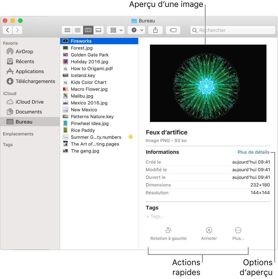 Une fenêtre du Finder affichant la barre latérale du Finder sur la gauche et une image sélectionnée dans le volet du milieu de la fenêtre. Sur la droite, la sous-fenêtre Aperçu affiche une image du contenu en haut, accompagnée des détails de l’image en dessous et des boutons d’actions rapides en bas.