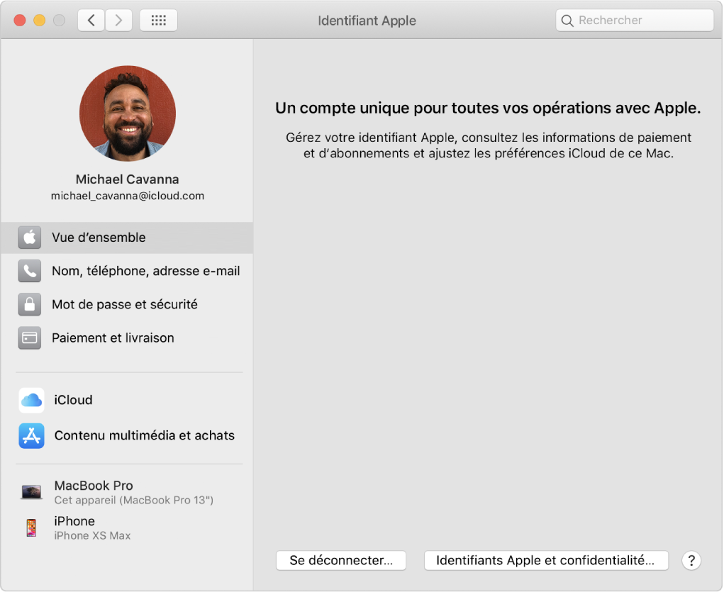 Préférences « Identifiant Apple » montrant une barre latérale de différents types d’options de compte que vous pouvez utiliser et les préférences « Vue d’ensemble » pour un compte existant.