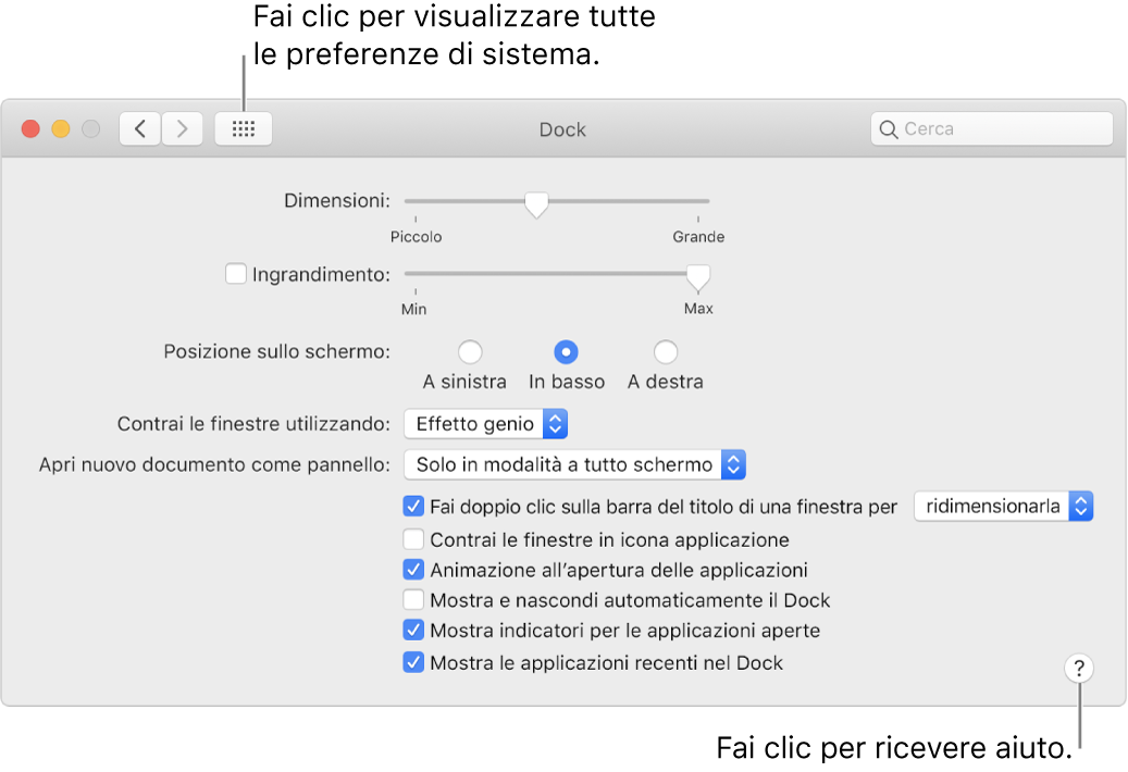 Fai clic su “Mostra tutte” per visualizzare tutte le icone delle preferenze. Fai clic sul pulsante Aiuto per ulteriori informazioni sul pannello.