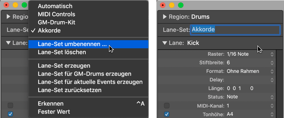 Abbildung. Eingabe eines Lane-Set-Namens im Informationsfenster