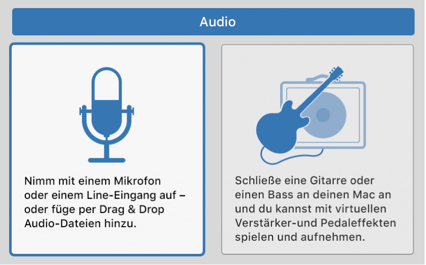 Abbildung. Auswählen eines Audiosymbols im Dialogfenster „Neue Spuren“