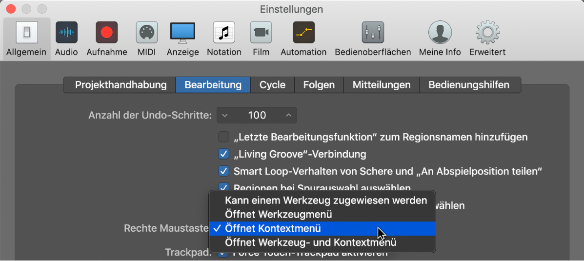 Abbildung. Einblendmenü „Rechte Maustaste“ im Bereich „Bearbeitung“ in den allgemeinen Einstellungen