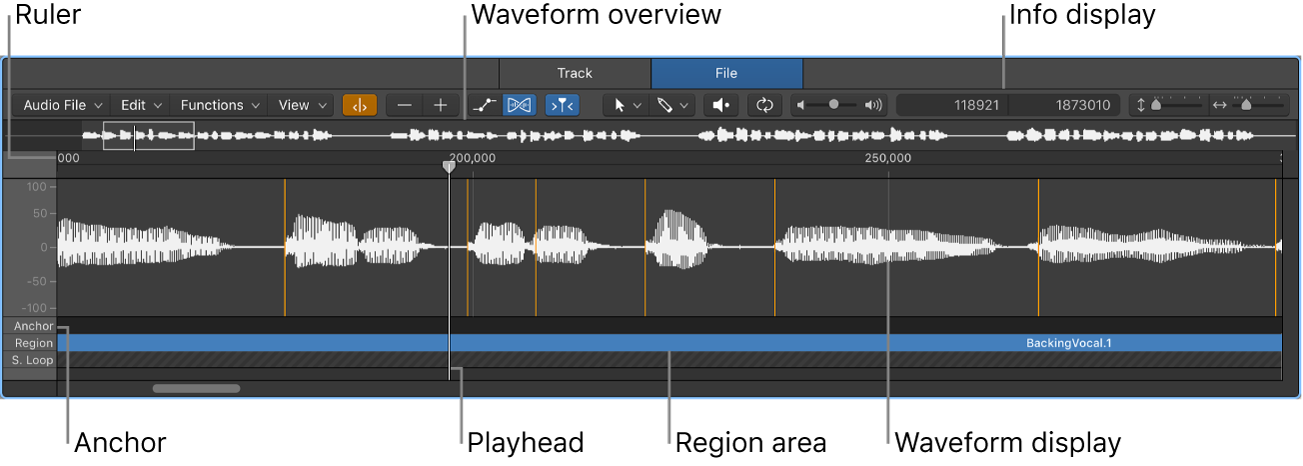 Figure. Sample Editor.