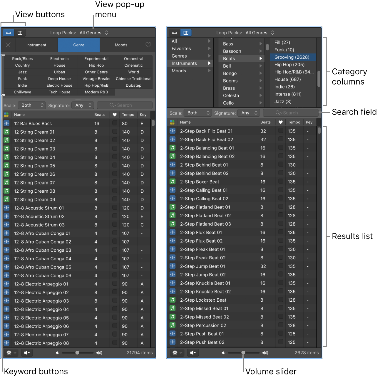 Figure. The Loop Browser.