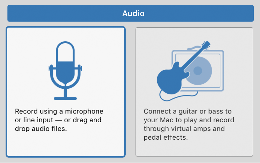 Figure. Selecting an Audio icon in the New Tracks dialog.