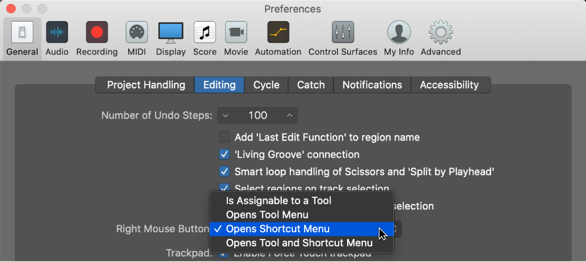 Figure. Right Mouse Button menu in the Editing pane in the General preferences.