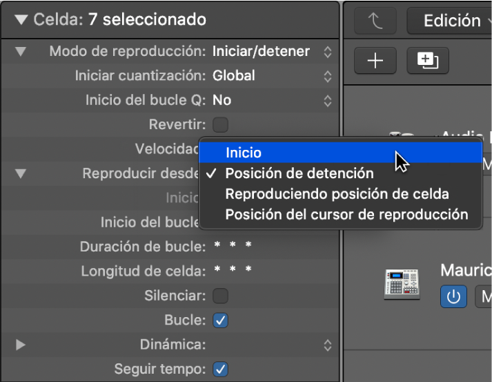 Ilustración. Ajuste “Reproducir desde” del inspector de celdas.