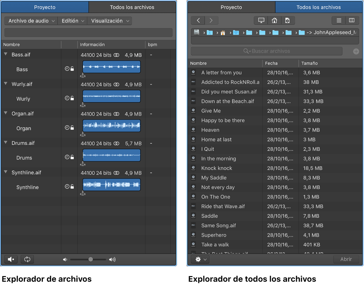Ilustración. Explorador de audio del proyecto y explorador de todos los archivos.