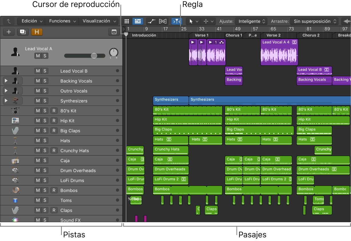 Ilustración. Área Pistas con pistas y pasajes, el cursor de reproducción y la regla.