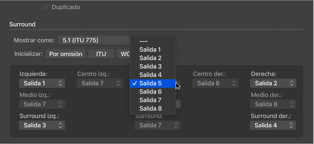 Ilustración. Menú desplegable Salida en el panel de preferencias Surround.
