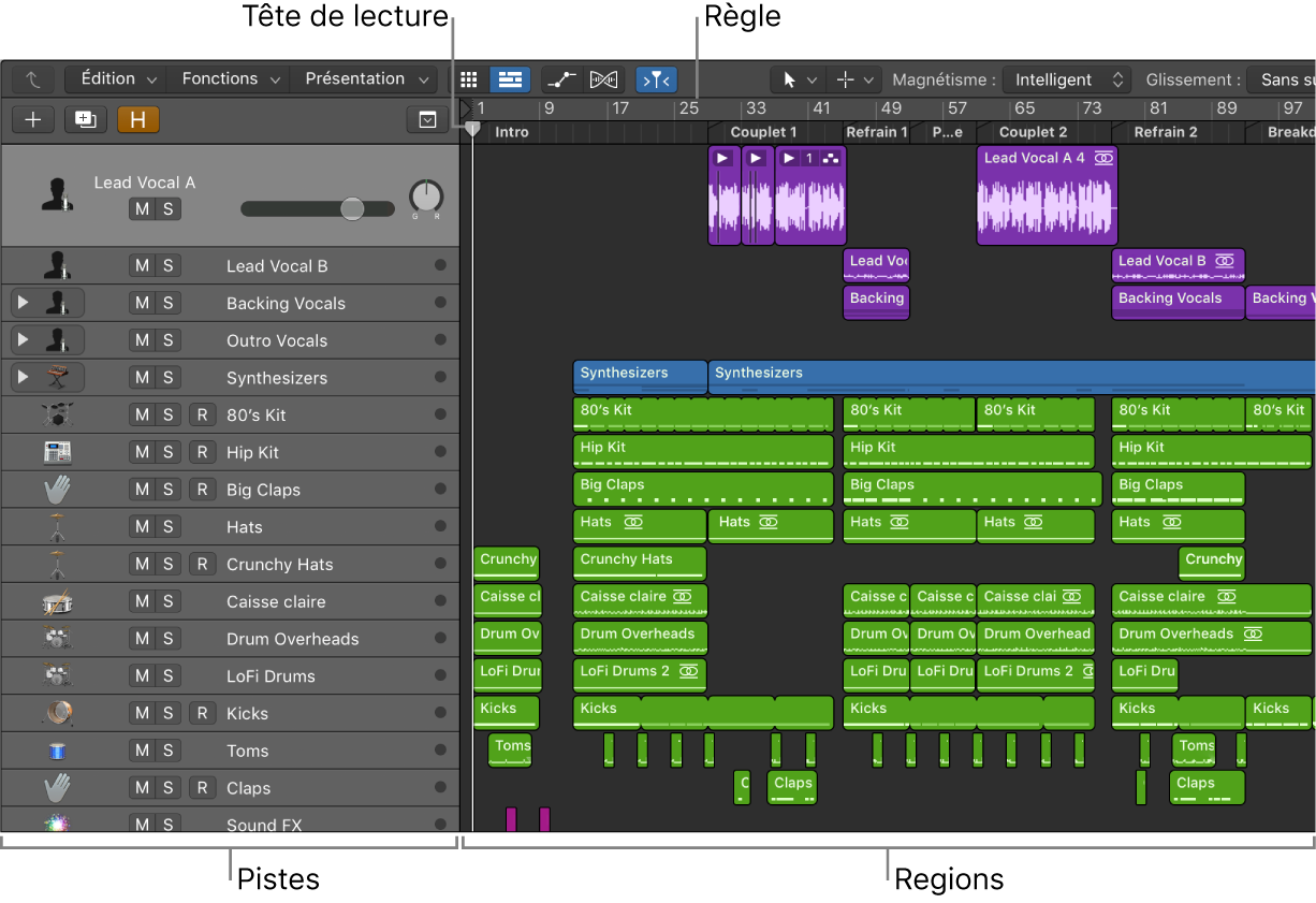 Figure. Zone Pistes montrant les pistes et régions, la tête de lecture et la règle.