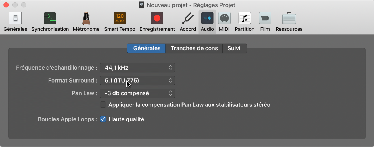 Figure. Sous-fenêtre Audio des réglages de projet.