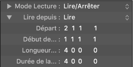 Figure. Paramètres de mise en boucle dans l’inspecteur de cellule.