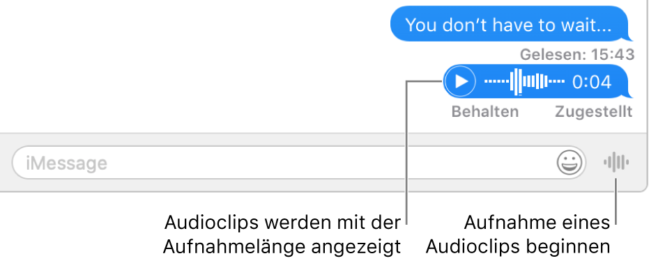 Eine Konversation im Fenster „Nachrichten“ mit der Taste „Sprachnachricht senden“ neben dem Textfeld unten im Fenster.