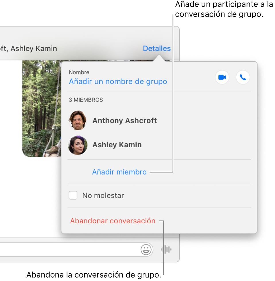 Vista de detalles, que aparece al hacer clic en Detalles en una conversación de grupo. “Añadir miembro” aparece debajo del nombre del último participante de la lista, mientras que “Abandonar conversación” aparece en la parte inferior del cuadro de diálogo.