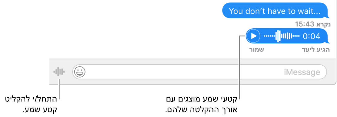 שיחה בחלון ״הודעות״, המראה את הכפתור ״שלח/י הודעה קולית״ לצד שדה המלל בתחתית החלון.