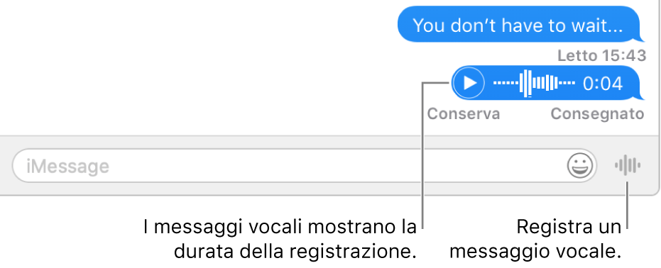 Una conversazione nella finestra Messaggi. È visualizzato il pulsante “Invia messaggio vocale” accanto al campo di testo nella parte inferiore della finestra.