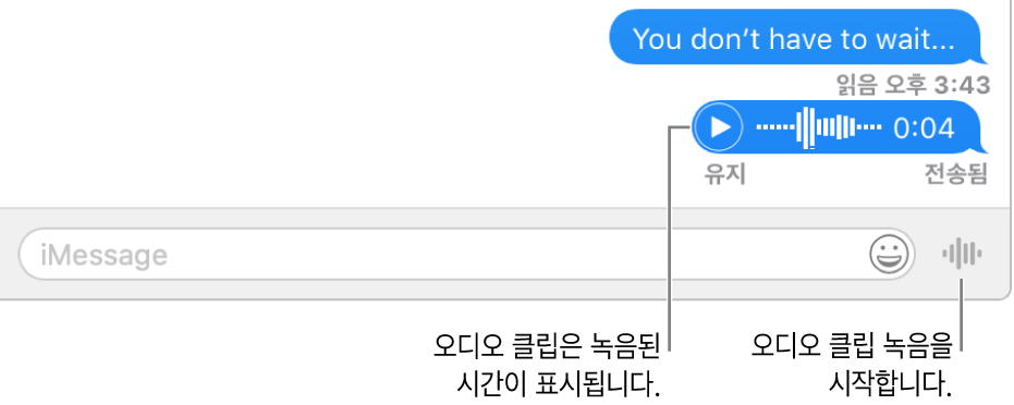 윈도우 하단에 표시된 텍스트 필드 옆의 음성 메시지 보내기 버튼이 있는 메시지 윈도우의 대화.