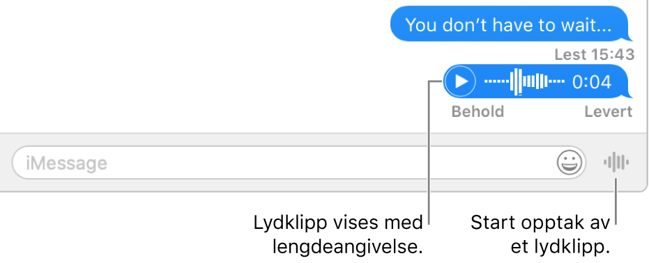 En samtale i Meldinger-vinduet som viser Send talemelding-knappen ved siden av tekstfeltet nederst i vinduet.