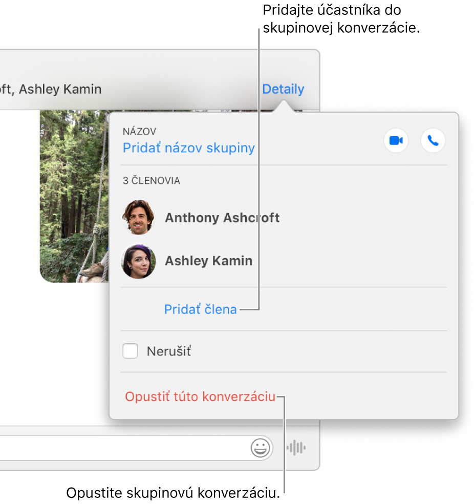Zobrazenie Detaily, ktoré sa zobrazí po kliknutí na položku Detaily v skupinovej konverzácii. Pod menom posledného účastníka v zozname sa zobrazí možnosť Pridať člena a naspodku dialógového okna sa zobrazí možnosť Opustiť túto konverzáciu.