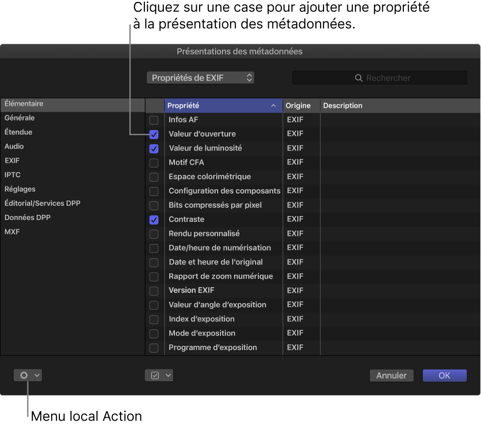 Cases des propriétés dans la fenêtre Présentations des métadonnées