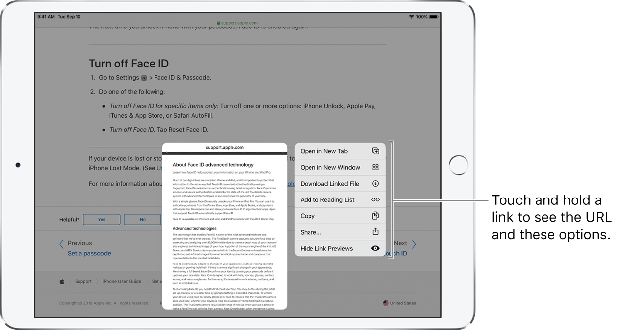 An overlay showing the destination address and a list of possible actions: Open, Open in New Tab, Open in Split View, Add to Reading List, Copy, or Share.