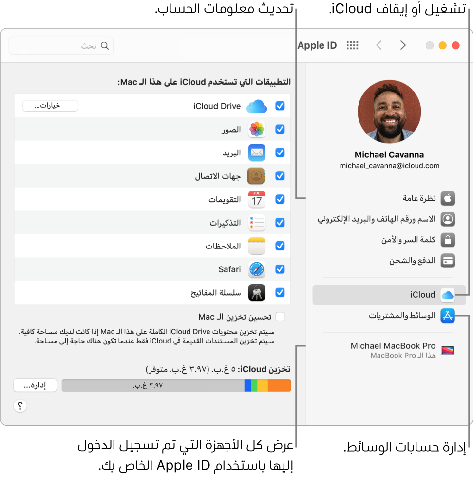 جزء Apple ID في تفضيلات النظام. انقر على عنصر في الشريط الجانبي لتحديث معلومات حسابك وتشغيل iCloud أو إيقافه أو إدارة حسابات الوسائط أو عرض جميع الأجهزة التي سجلت الدخول عليها باستخدام Apple ID.