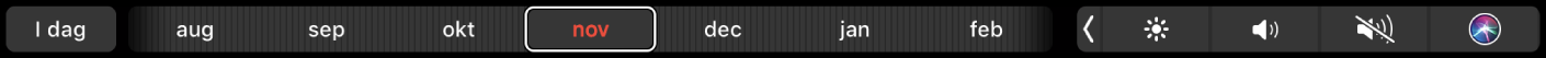 Touch Bar til Kalender med knappen I dag og et mærke til valg af en måned.