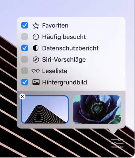  Das Einblendmenü „Safari anpassen“ mit Markierungsfeldern für „Favoriten“, „Häufig besucht“, „Datenschutzbericht“, „Siri-Vorschläge“, „Leseliste“ und „Hintergrundbild“.