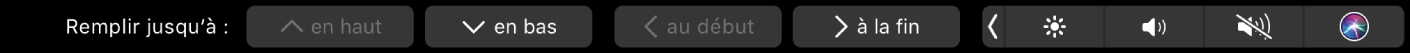 Touch Bar de Numbers affichant les boutons de remplissage automatique. Cela comprend les options Haut, Bas, Début et Fin.