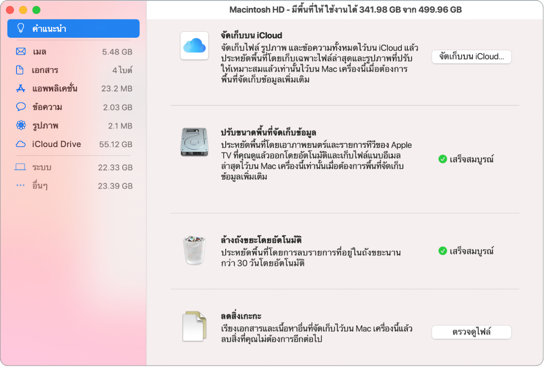 การตั้งค่าคำแนะนำสำหรับพื้นที่จัดเก็บข้อมูลที่กำลังแสดงตัวเลือกจัดเก็บใน iCloud, ปรับพื้นที่จัดเก็บข้อมูลให้เหมาะสม, ล้างถังขยะโดยอัตโนมัติ และลดสิ่งเกะกะ