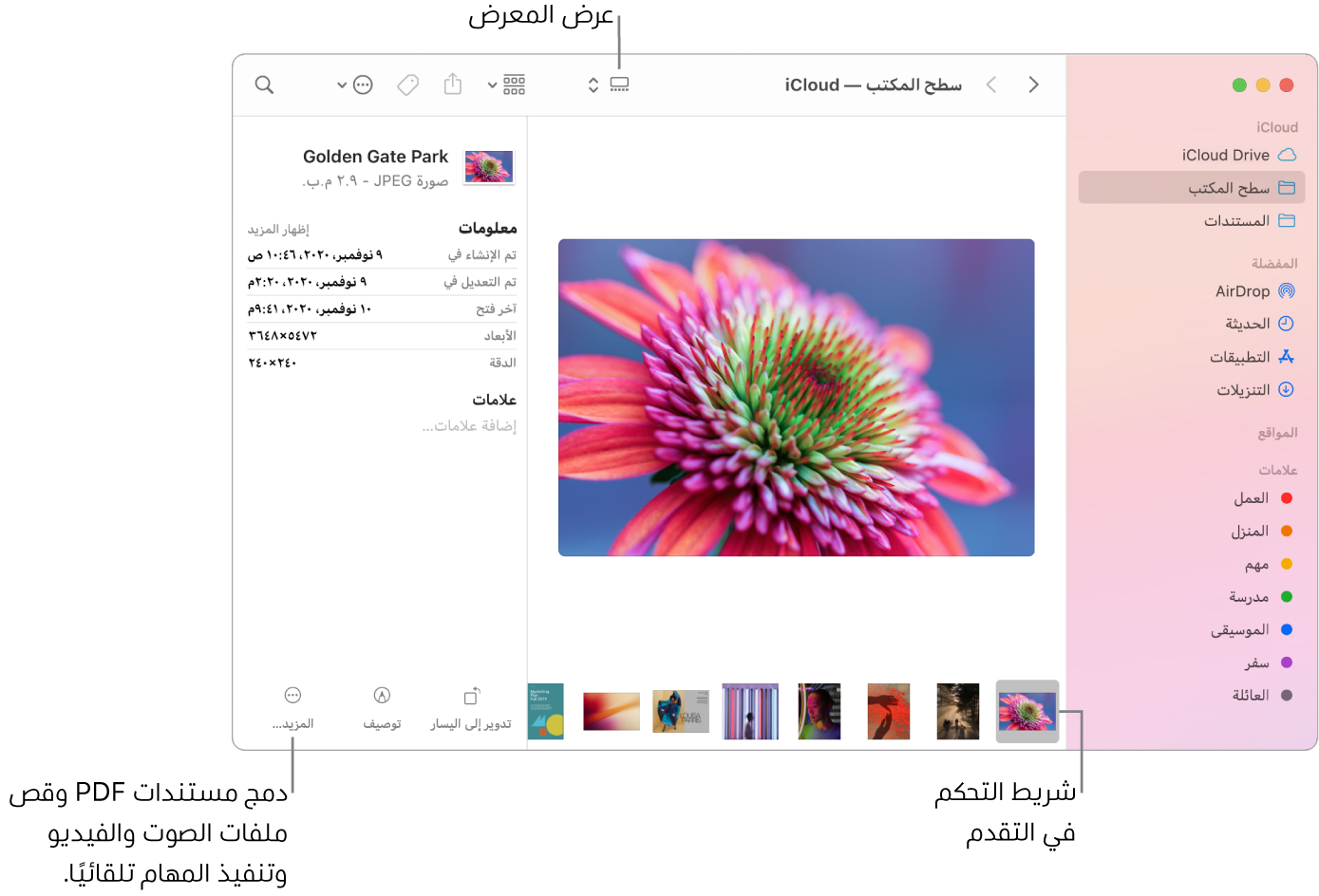 نافذة Finder مفتوحة في عرض المعرض وتظهر فيها صورة كبيرة وأسفلها صف من الصور الصغيرة، وهو شريط التحكم في التقدم. وتظهر على يسار شريط التحكم في التقدم عناصر تحكم للتدوير والتوصيف والمزيد.