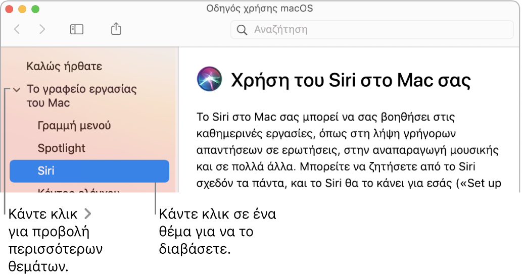 Η προβολή Βοήθειας στην οποία φαίνεται ο τρόπος προβολής θεμάτων στην πλαϊνή στήλη και ο τρόπος εμφάνισης του περιεχομένου ενός θέματος.