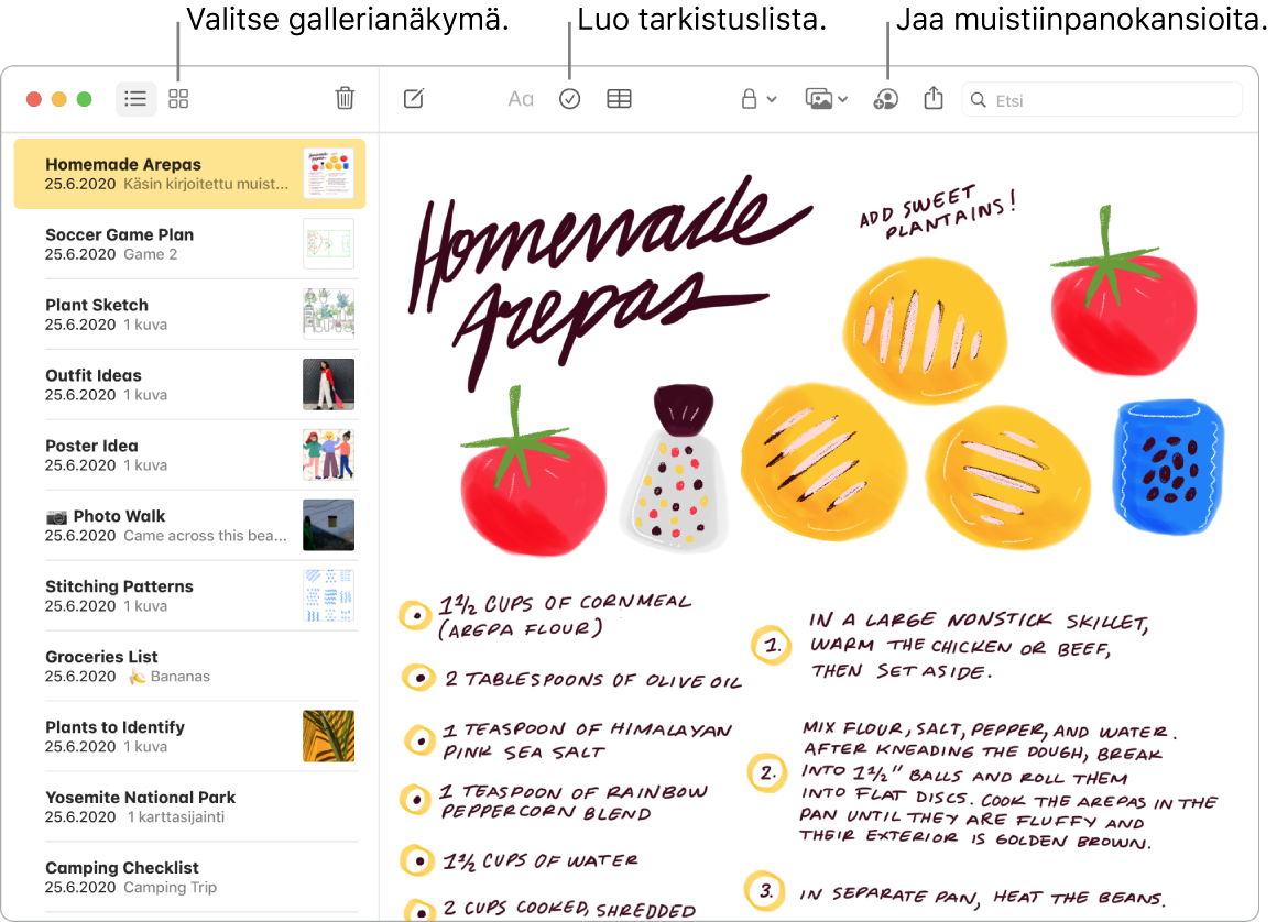 Muistiinpanot-ikkuna gallerianäkymässä, jossa selitteet Gallerianäkymä-, Tarkistuslista- ja Jaa kansio -painikkeisiin.
