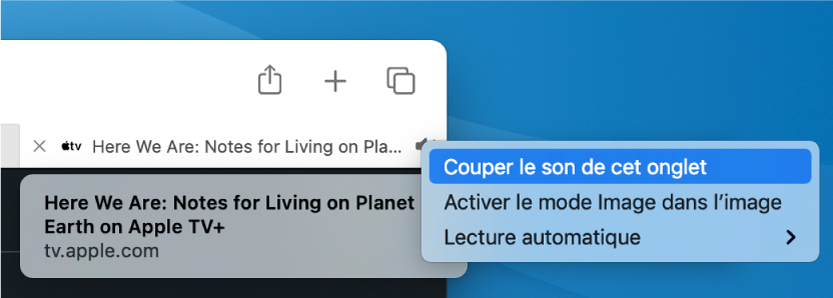 Le sous-menu de l’icône Audio avec les éléments « Couper le son de cet onglet », « Entrer dans Image dans l’image » et « Lecture automatique ».