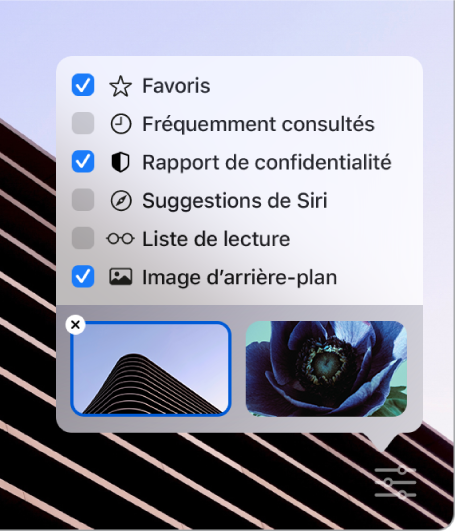 Le menu local Personnaliser de Safari avec les cases à cocher suivantes : Favoris, Fréquemment consultés, Rapport de confidentialité, Suggestions de Siri, Liste de lecture et Image d’arrière-plan.