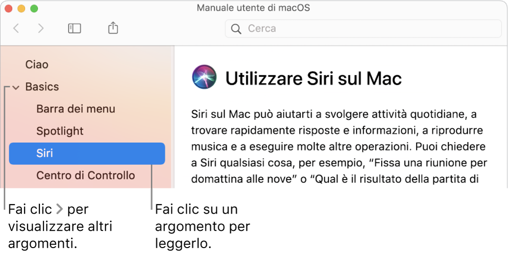 Visore di Aiuto che mostra come visualizzare gli argomenti elencati nella barra laterale e il contenuto di un argomento.