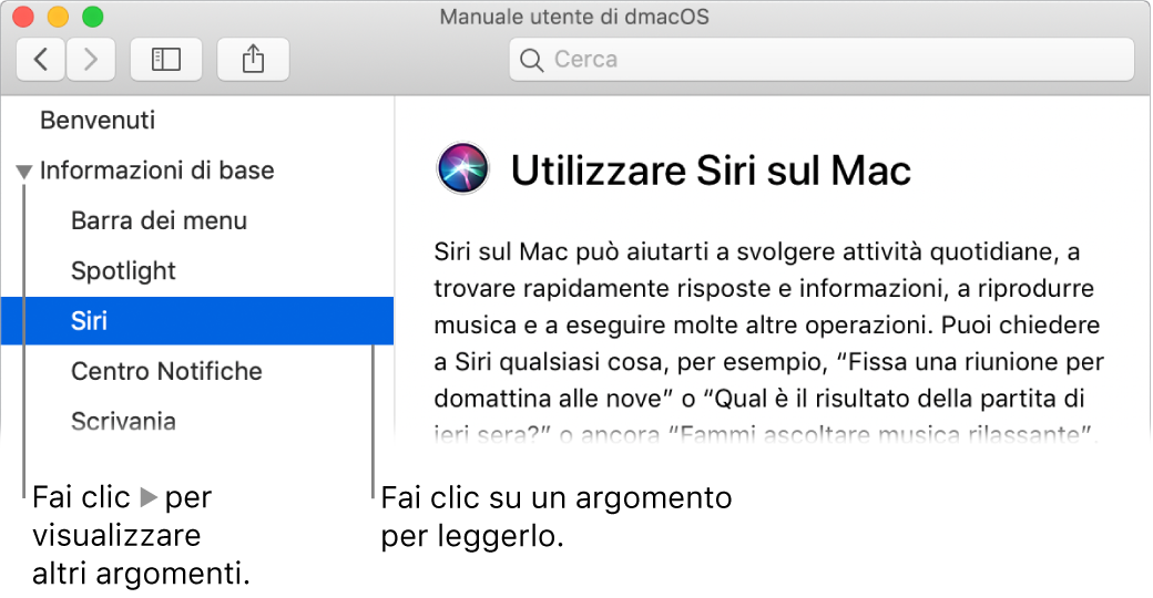 Visore di Aiuto che mostra come visualizzare gli argomenti elencati nella barra laterale e il contenuto di un argomento.