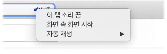 이 탭 소리 끔, 화면 속 화면 시작 및 자동 재생 항목이 있는 오디오 아이콘의 하위 메뉴.