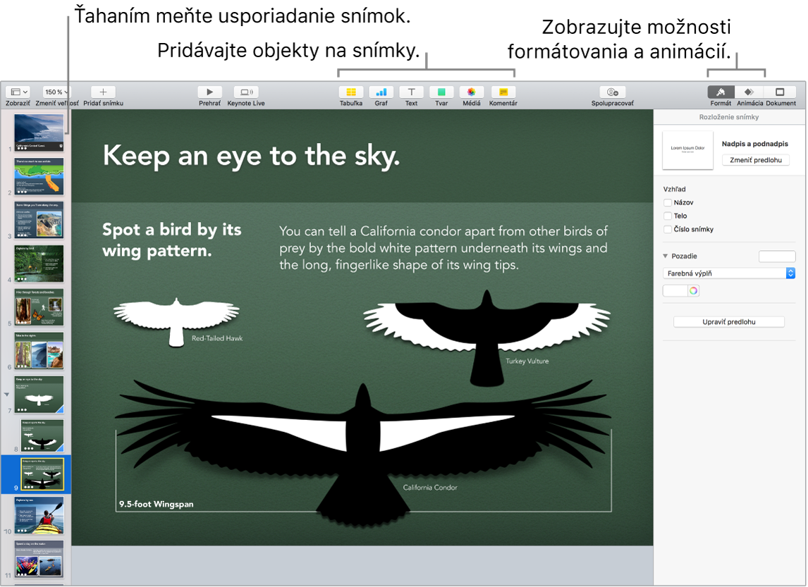 Okno aplikácie Keynote znázorňujúce, ako môžete zmeniť poradie snímok, a s označenými tlačidlami, ktoré slúžia na pridanie objektov na snímky, vrátane možností formátovania a animácie.