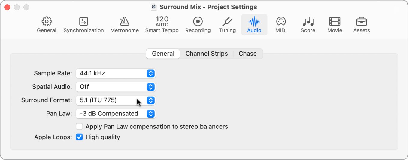 Figure. Audio project settings pane.