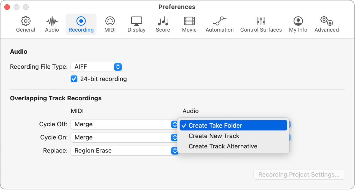 Figure. Recording preferences.