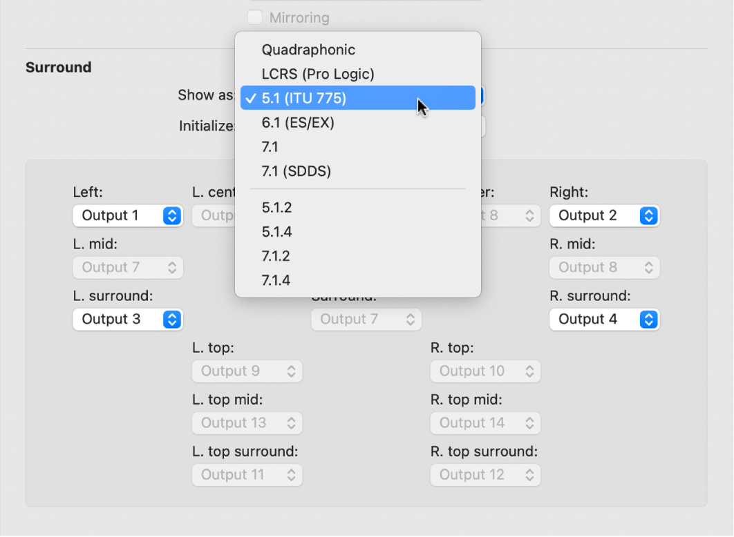 Figure. Surround preferences.