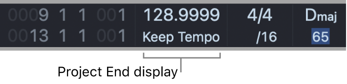 Figure. Project End display in the LCD.