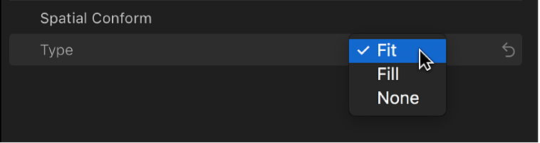 Le menu local Type dans la section Adaptation spatiale de l’inspecteur vidéo
