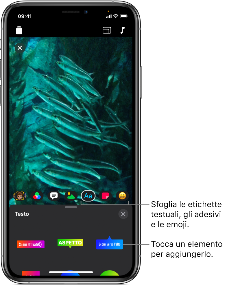 L’immagine di un video nel visualizzatore, con Testo selezionato e le opzioni per le etichette di testo sotto.